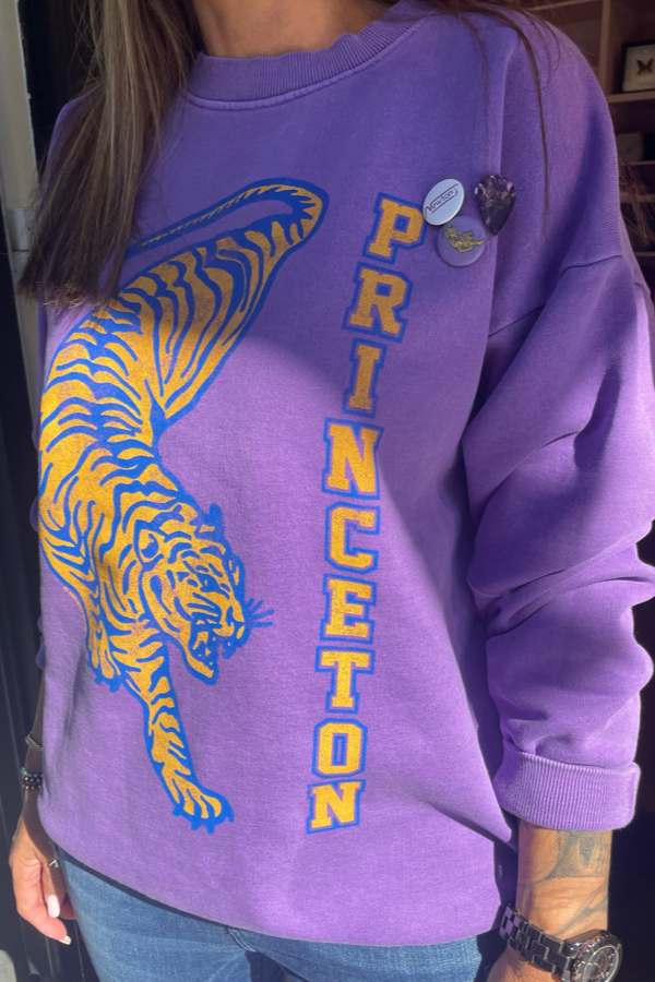 newtone roller princeton purple dames sweater met print